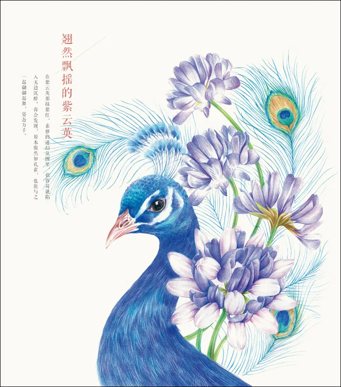 "Цветы нарисованные птицы" цветные карандаши для рисования книг, карандаш эскиз учебник, ручная роспись цветная книга иллюстрации техники привести