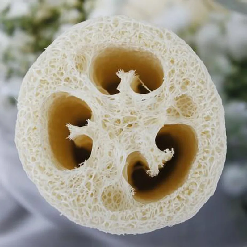 Губка для душа 5 шт. губка душа|body scrubber|luffa loofanatural loofah |