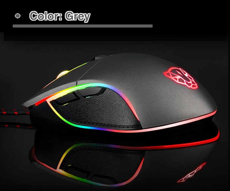 V30_color_Grey_800