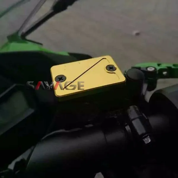 NINJA 300 (4)