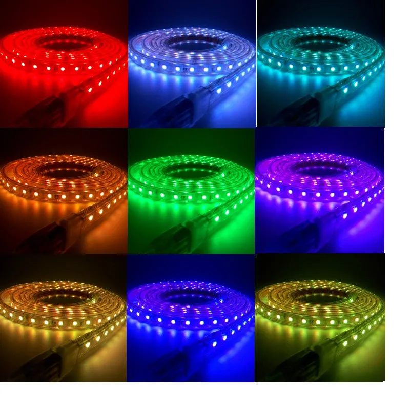 220V Strip RGB Remote effect