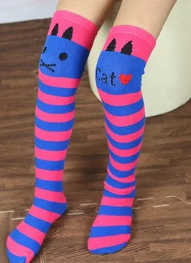 17 (1)