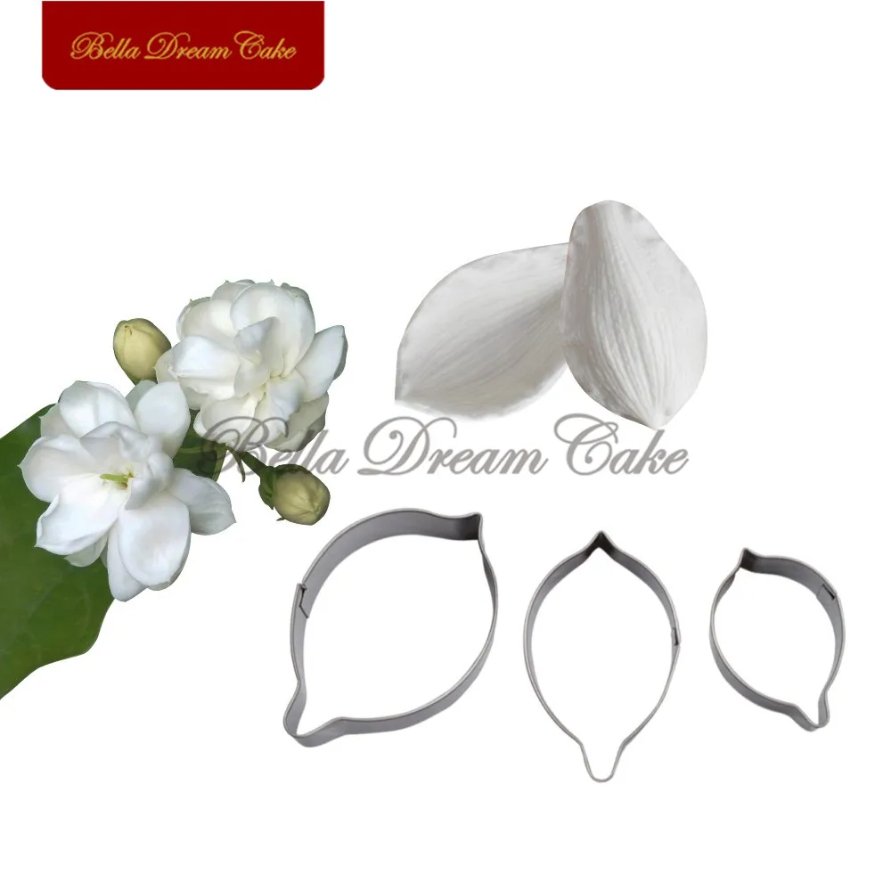 Jasmine Flower-2
