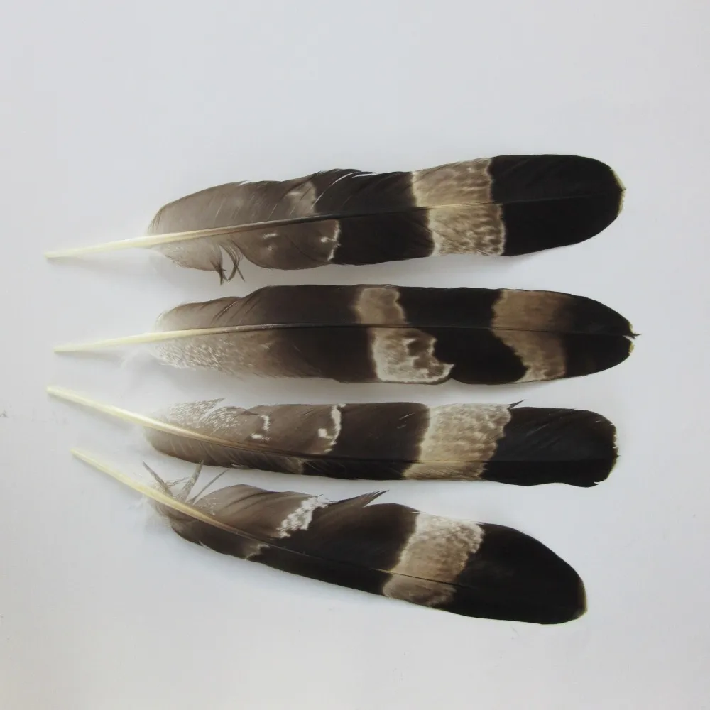 Buy Wholesale Real Natural Eagle feathers 10 12 Inch