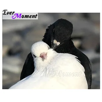 

Ever Moment Diamond Painting Full Square Picture Of Rhinestone White Black Pigeon 5D DIY Diamond Embroidery Cross Stitch 3F861