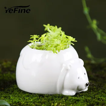 

YeFine Cartoon Animal Ceramic Flower Pots Decorative Designer Planter Flowerpot Bonsai Pot For Succulent Plants Sea Dog Penguin