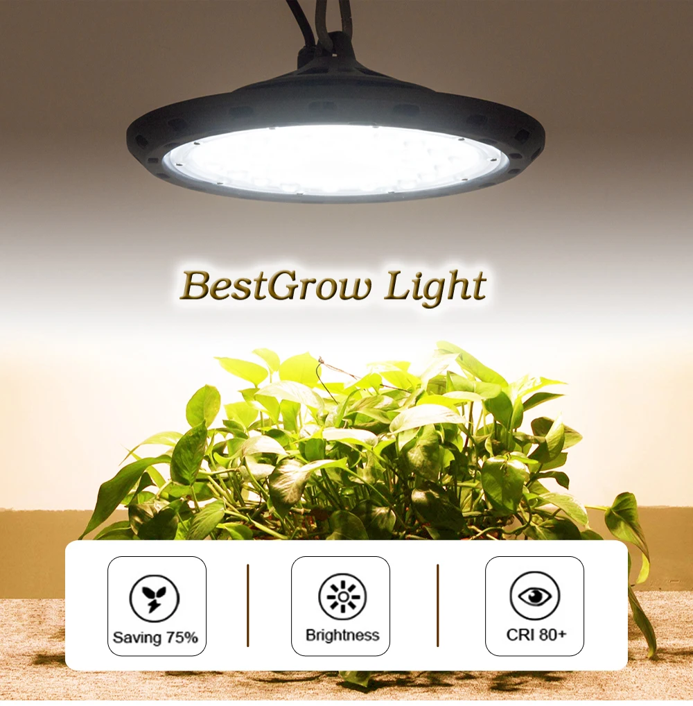 100 W 200 W полный спектр светодиодный свет для выращивания 5000 K лампа для саженцев для теплиц Крытый садовые цветы и растения лампа для роста