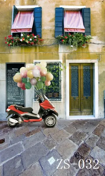 

3*5M Art Cloth Custom Photography Backdrops Prop Indoor and Outdoor Studio Background ZS-032