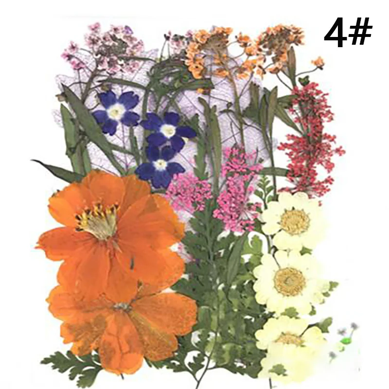 Микс сушеных прессованных цветов+ листья растений гербарий для ювелирных открыток фоторамка чехол для телефона DIY 12 видов конструкций выбор