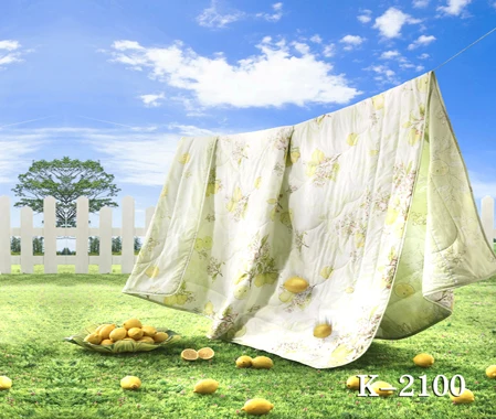 

10x10ft vinyl photography backdrop vinyl backdrops for photography vintage photography background summer Fruit fresh sheets k210