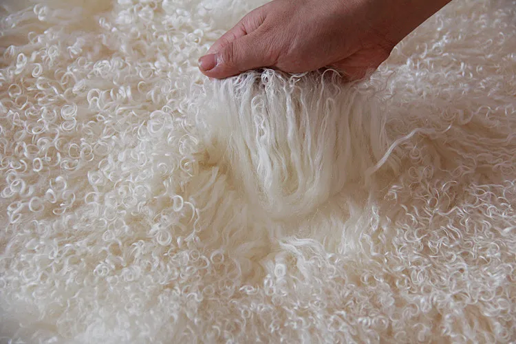 sheep skin (2)