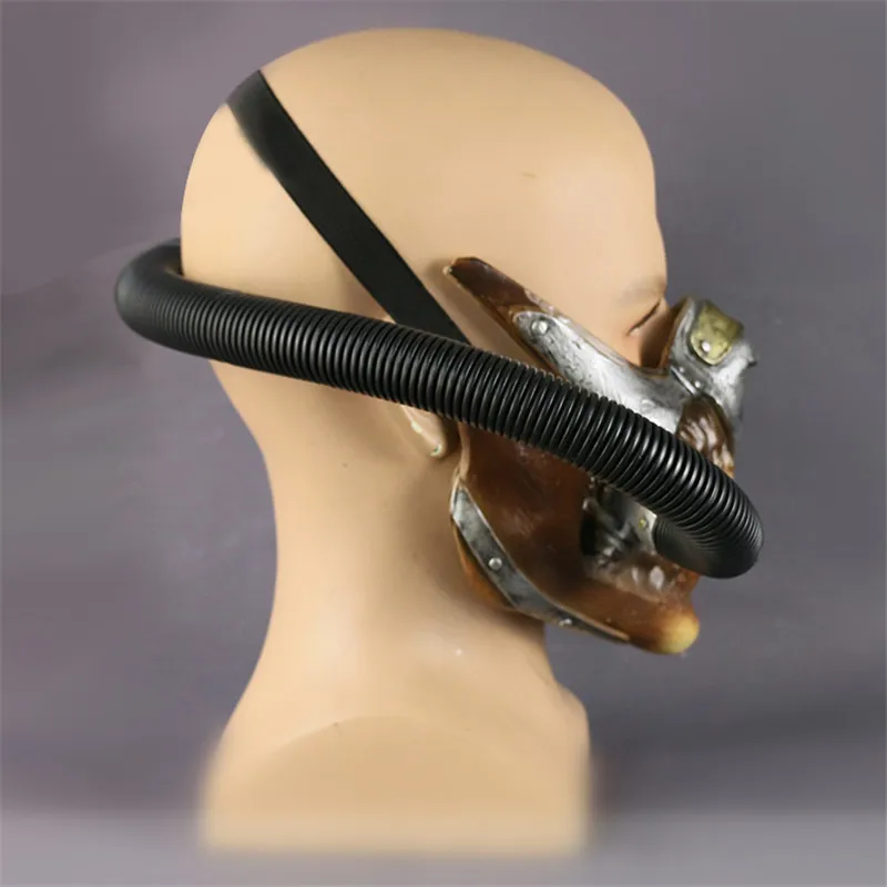 HTB1VlK6RFXXXXb8XpXXq6xXFXXXn