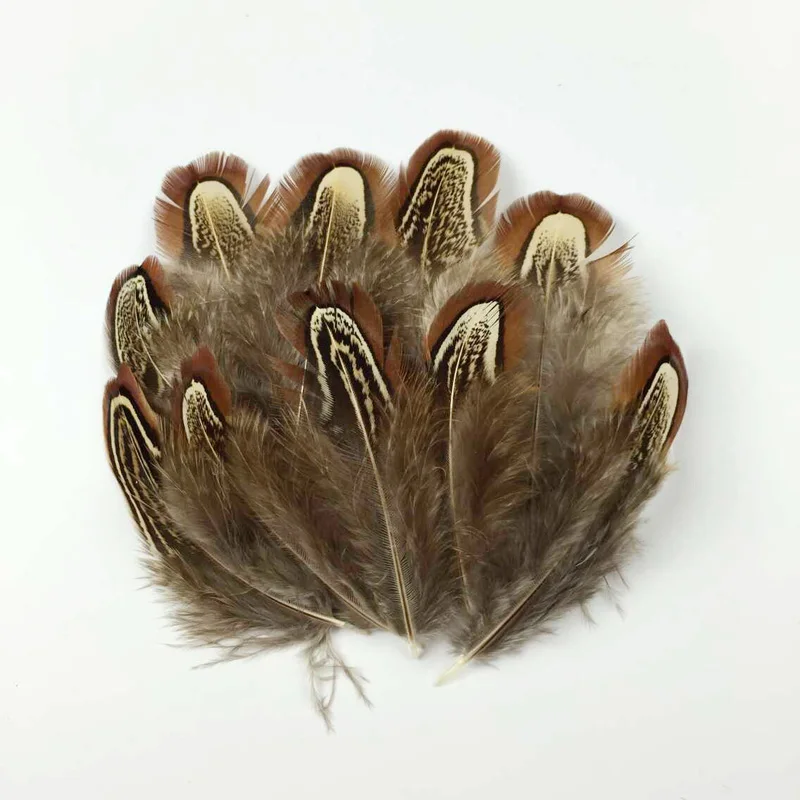 xuezhiyu Wholesale Perfect 100pcs High Quality Natural Pheasant