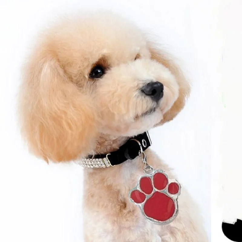 Рисунок 4 - Персонализированная идентификационная бирка для собаки