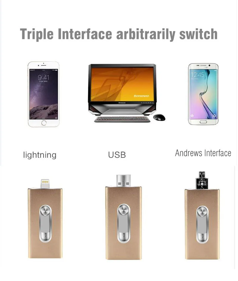 Richwell USB Flash Drive For iPhone X/8/7/7 Plus/6/6s/5/SE ipad Metal