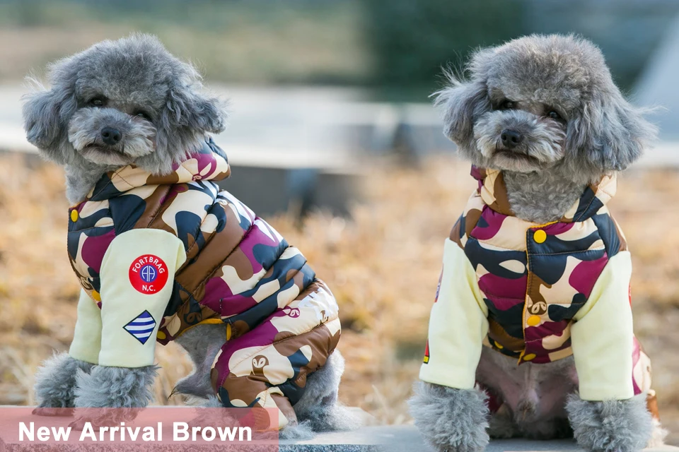 winter dog clothes 22