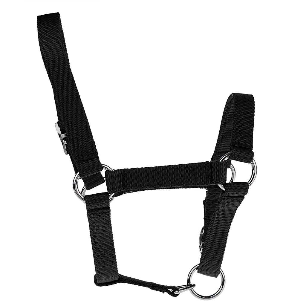 Adjustable Webbing Equestrian Horse Halter Horse Riding Wear Adjustable Horse Halter Outdoor Racing Woven Belts Bridle