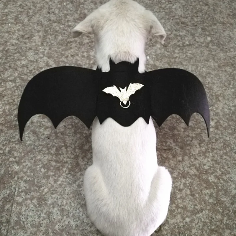 guinea pig harness