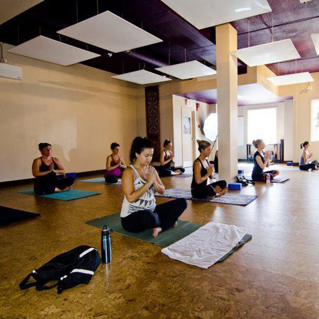 Buy 600W Commercial Heating Yoga Studio, radiant panel