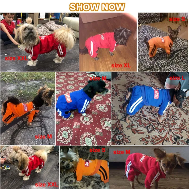 Pawstrip 4 цвета Собака Толстовка пальто спортивная одежда костюм для животных комбинезон для щенка маленькая собака одежда для чихуахуа Йоркский Petshop S-XXL