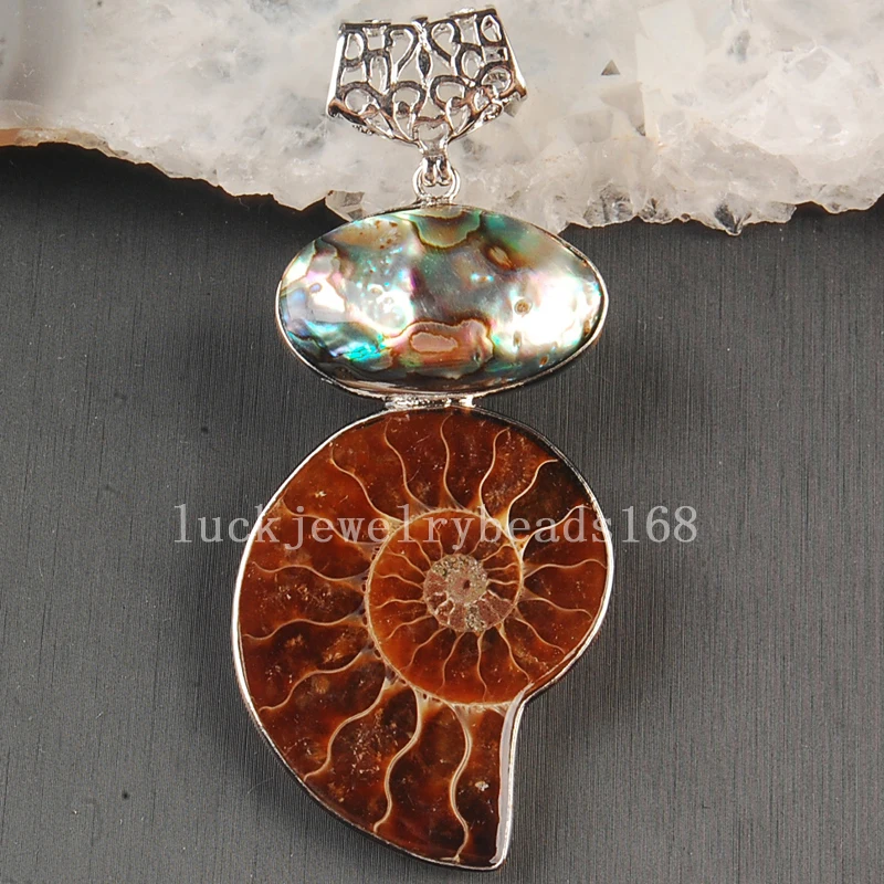 

Free Shipping Women Fashion Jewelry Natural Ammonites New Zealand Ablone Shell Art Pendant Bead 1pcs C3632