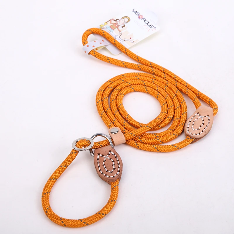 Reflective Dog Leash (6)
