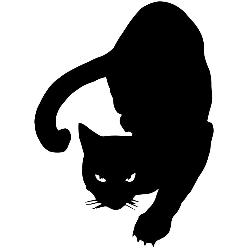 11,1*15,2 см предупреждение кошка виниловая наклейка креативные наклейки на окна украшение