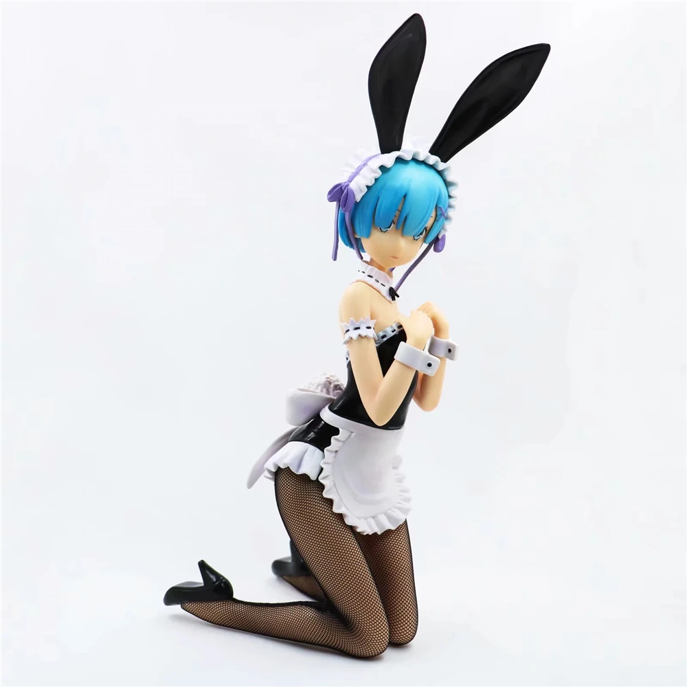 Rem (5)