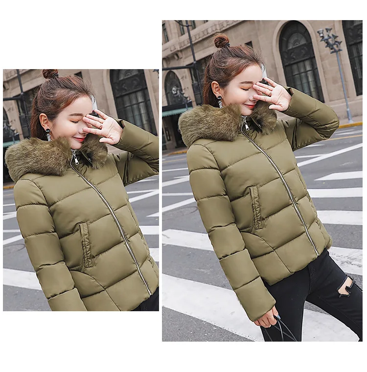 Cotton (28).jpg