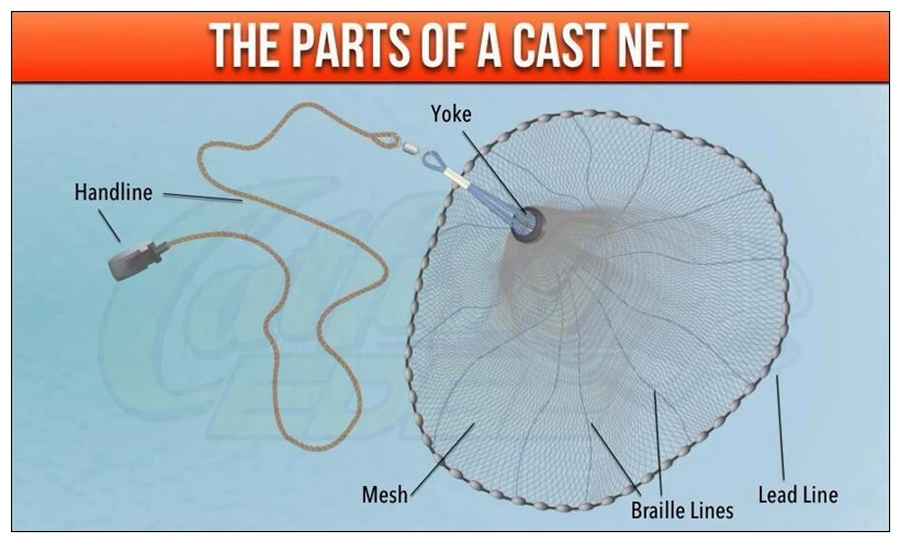 HTB1u2ChcogQMeJjy0Fgq6A5dXXaQ