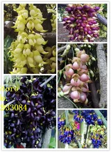 Красный Mucuna семена Дерево Бонсай Семена Главная украшение Сада 2 частиц/мешок