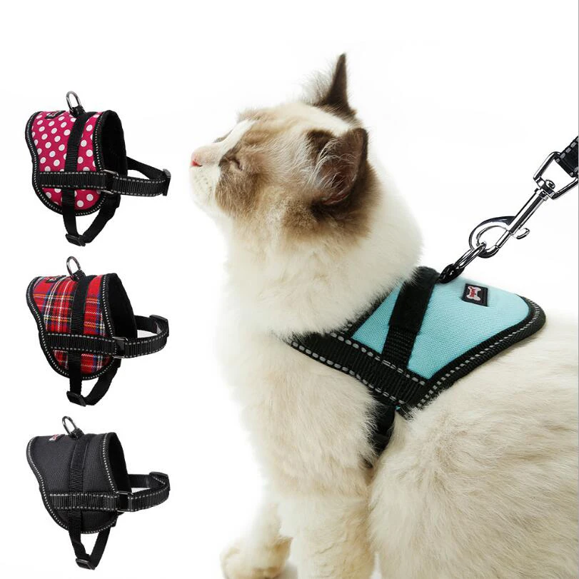 cat walking leash harness