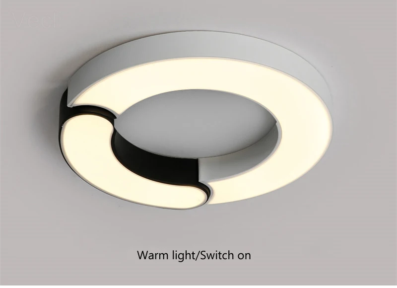 Ring ceiling lighting (26)