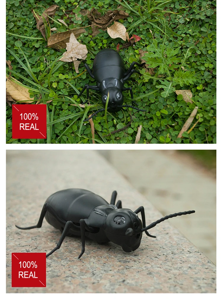 Robotic Insect Prank Toys Trick Electronic Pet RC Simulation Scorpion Beetle Remote Control Smart Animal Model Child Adult Gift 4