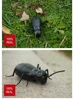 Robotic Insect Prank Toys Trick Electronic Pet RC Simulation Scorpion Beetle Remote Control Smart Animal Model Child Adult Gift 4