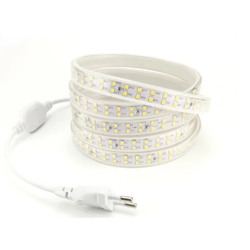 220V Double Strip