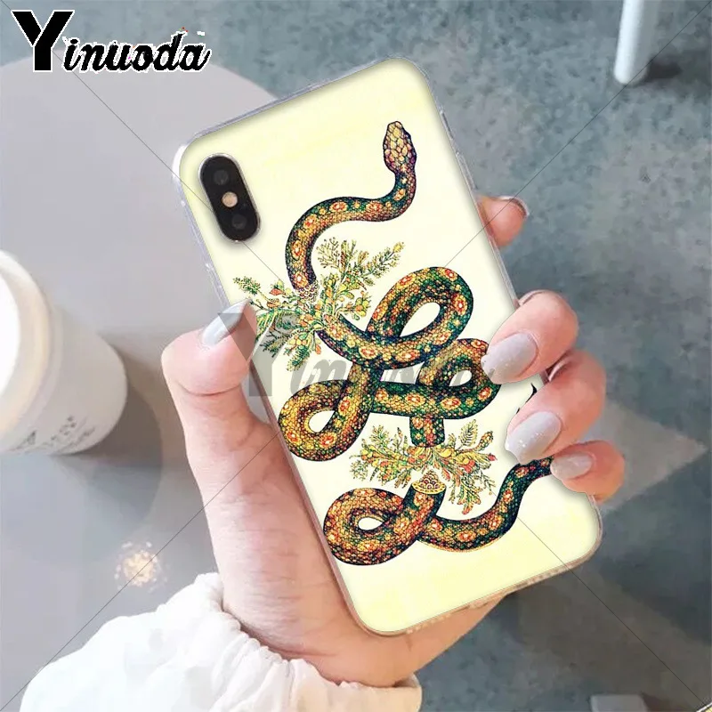 Animal The Snake and Fern