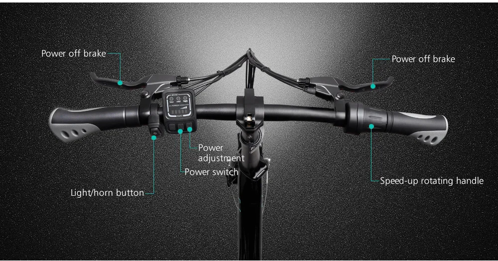 FIIDO-D3-Folding-Electric-Moped-Bike-2