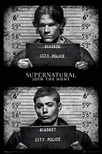 Home Decor Supernatural - TV Show Sam & Dean - Mugshots-Silk Art Poster Wall Sicker Decoration Gift