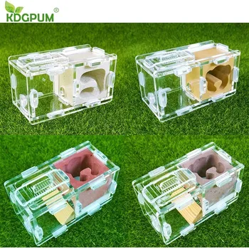 

KDGPUM New Design Ant Nest DIY With Feeding Area Ant Farm Acrylic Plaster Villa Pet Mania For House Ants Insect Ant Workshop