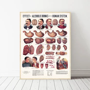 

Alcohol vs Humans Art Canvas Poster Wall Pictures for Living Room