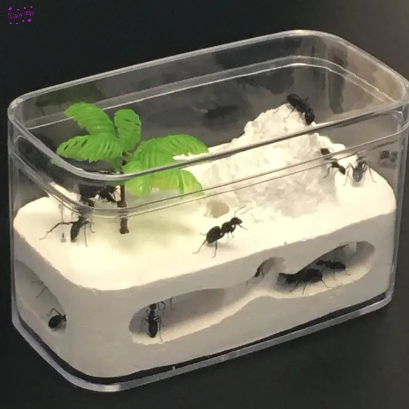 

Easy DIY with feeding area ant nest ,ant farm acryl, insect ant nests villa pet mania for house ants