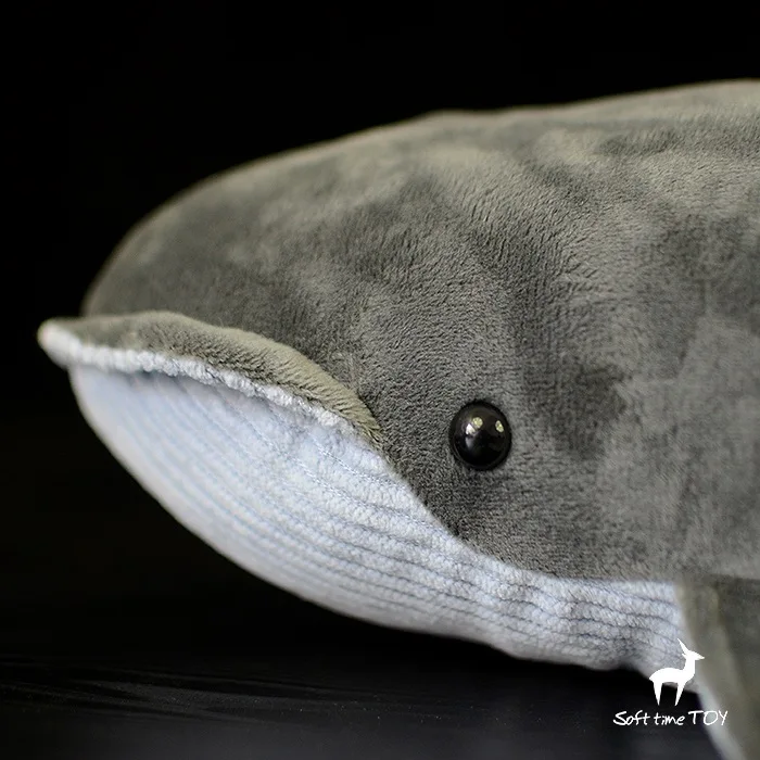 Balaenoptera rorquals кит плюшевые моделирование морские мягкие игрушки куклы