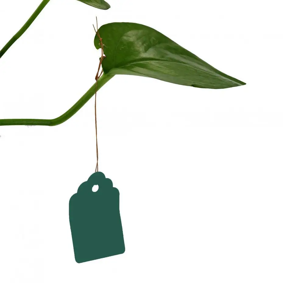 500 шт. садовые цветочные горшки для рассады и фирменный логотип, табличка с номером, пластмассовый подвесной инструмент для идентификации - Цвет: Зеленый
