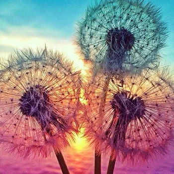 

NEW diamond embroidery full "Beautiful Dandelion" 5d diy diamond painting Cross stitch Resin Diamond mosaic Needlework