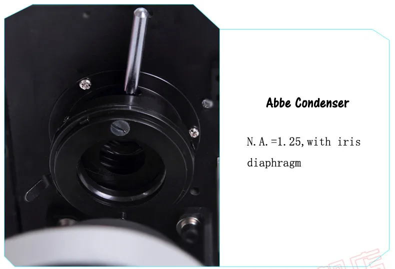 PH50 5