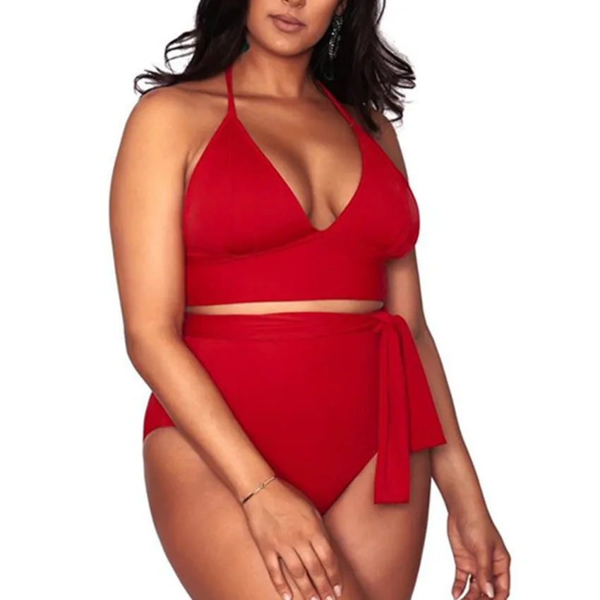 plus size high leg bikini