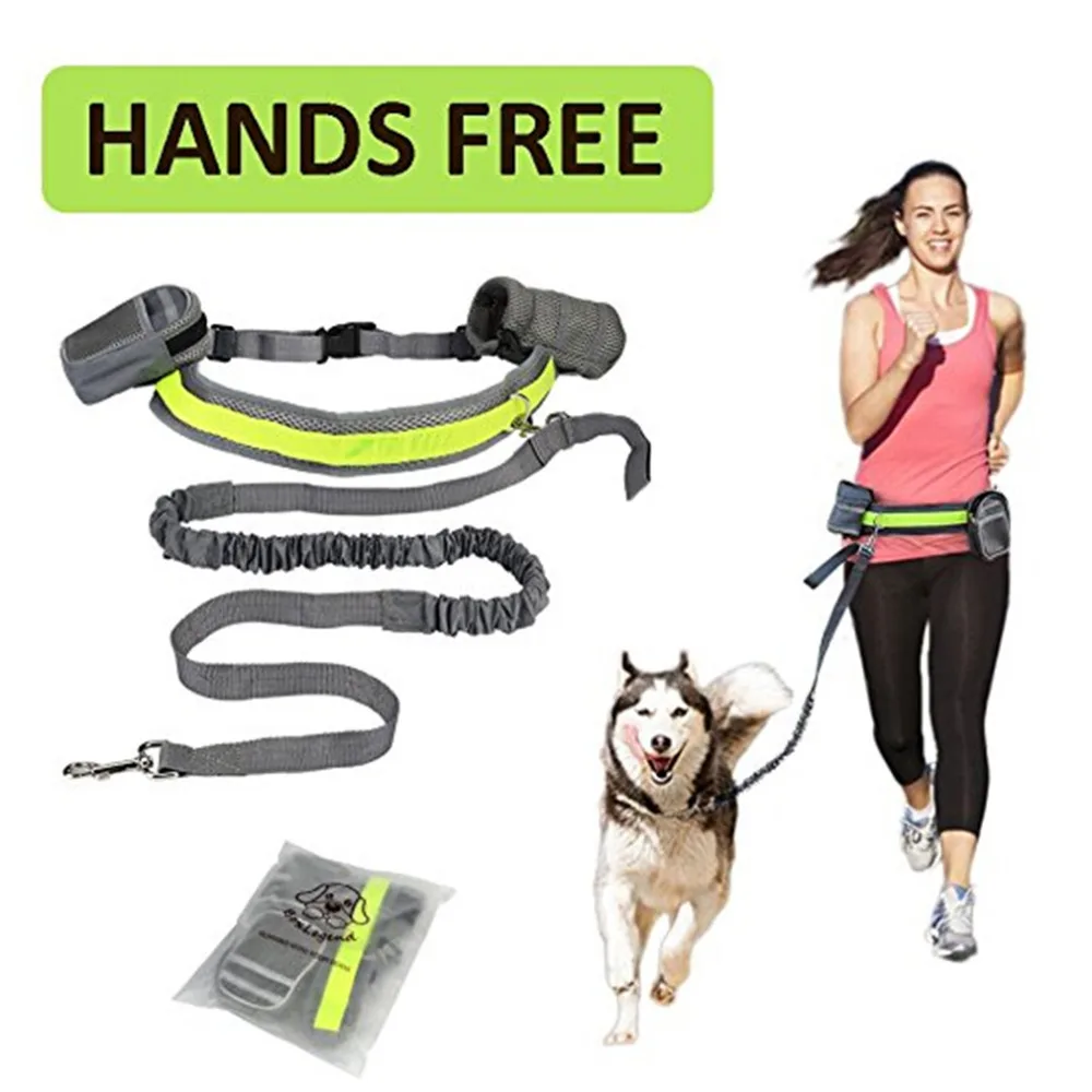 

Hands Free Pet Dog Cat Running Jogging Padded Waist Belt Reflective Strip Elastic Leash Perfect Walking Training Dog Leash Set