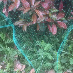 Анти Птица Урожай сеть плетеная сеть Защита прочный для садовых растений пони фруктовое дерево YA88