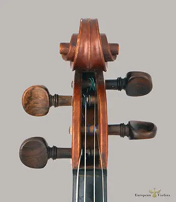 Violine Chinrest Schraube Drawplates Tuning Peg Schwanznagel Schwanzseil 